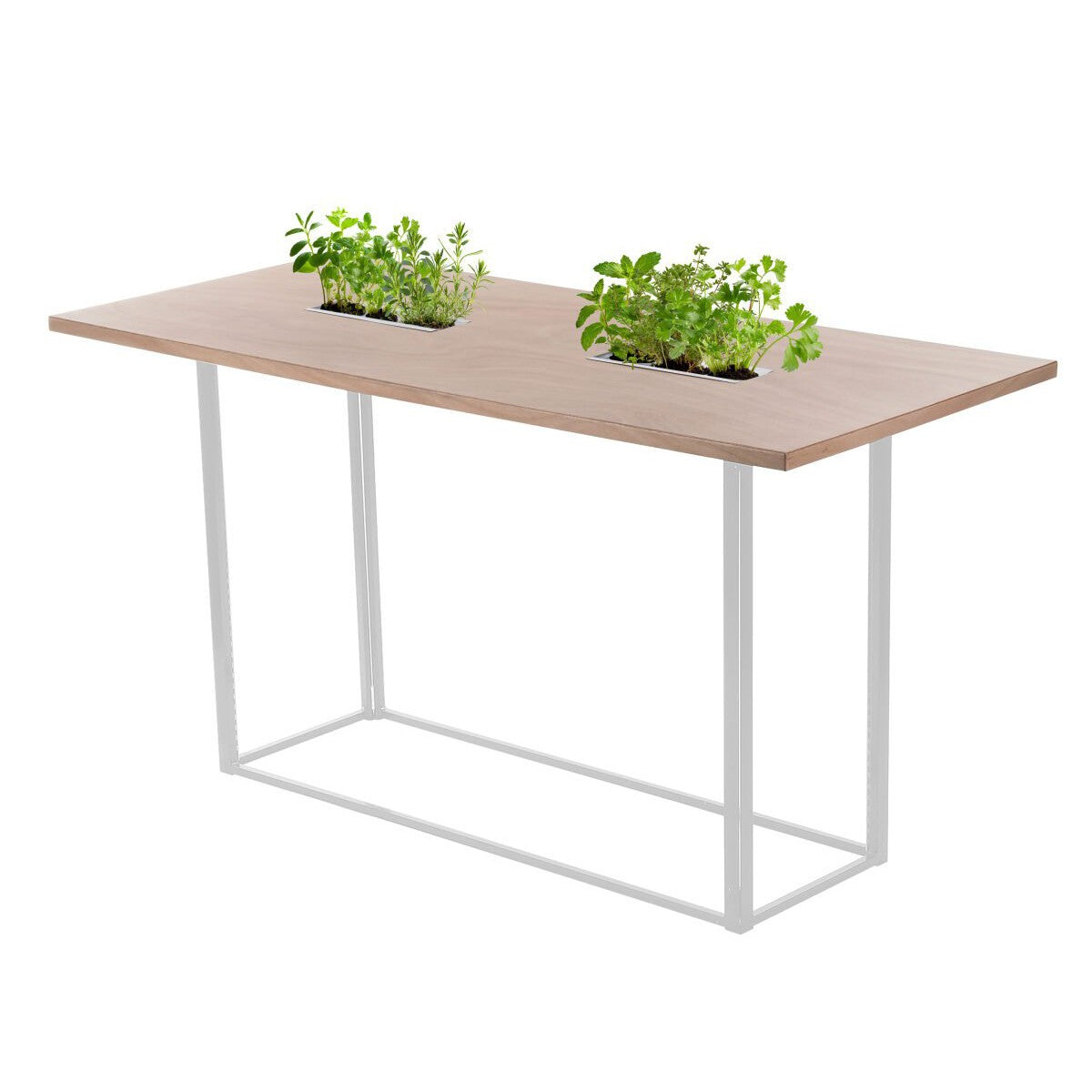 Table haute Mika Végétale H107 200x90