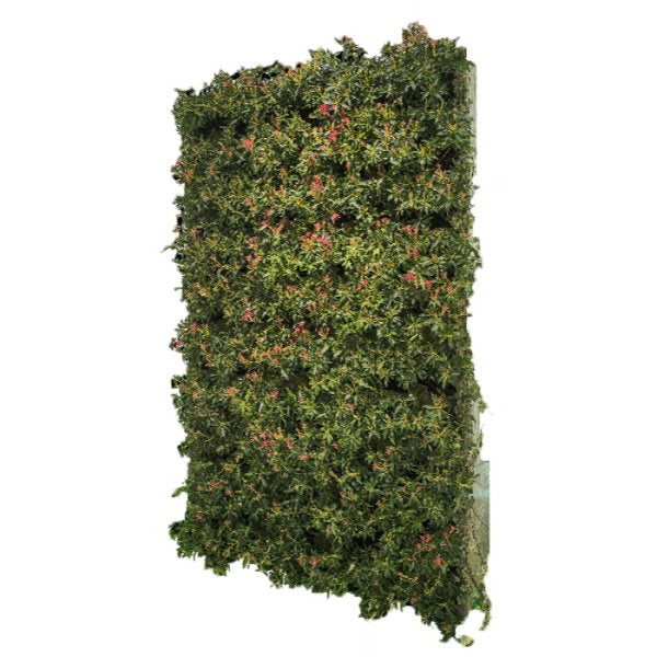 Mur végétal autoporté 2500 Ht x 1500 x 420 mm avec plantes naturelles