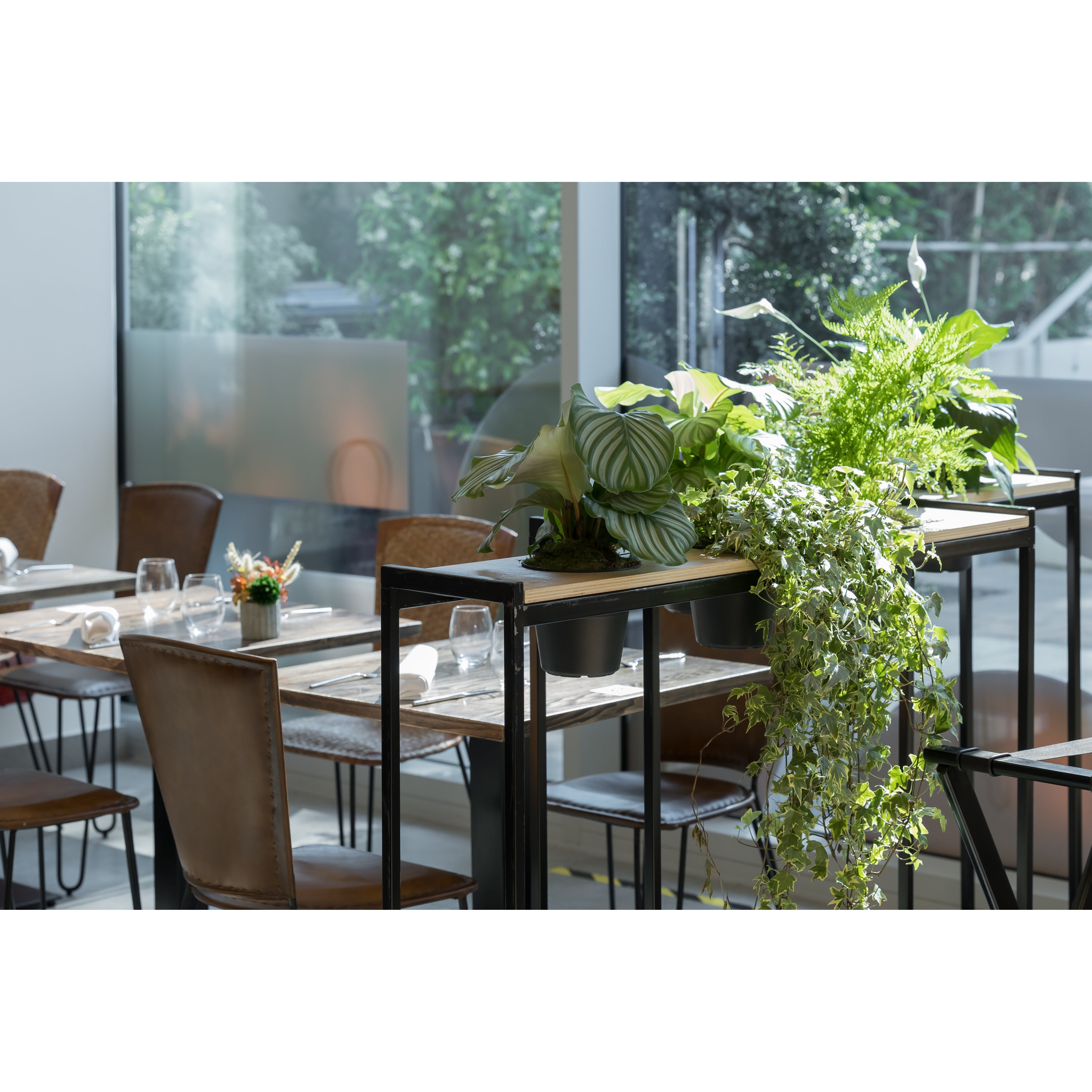 Cloison Smart végétale H 110 cm