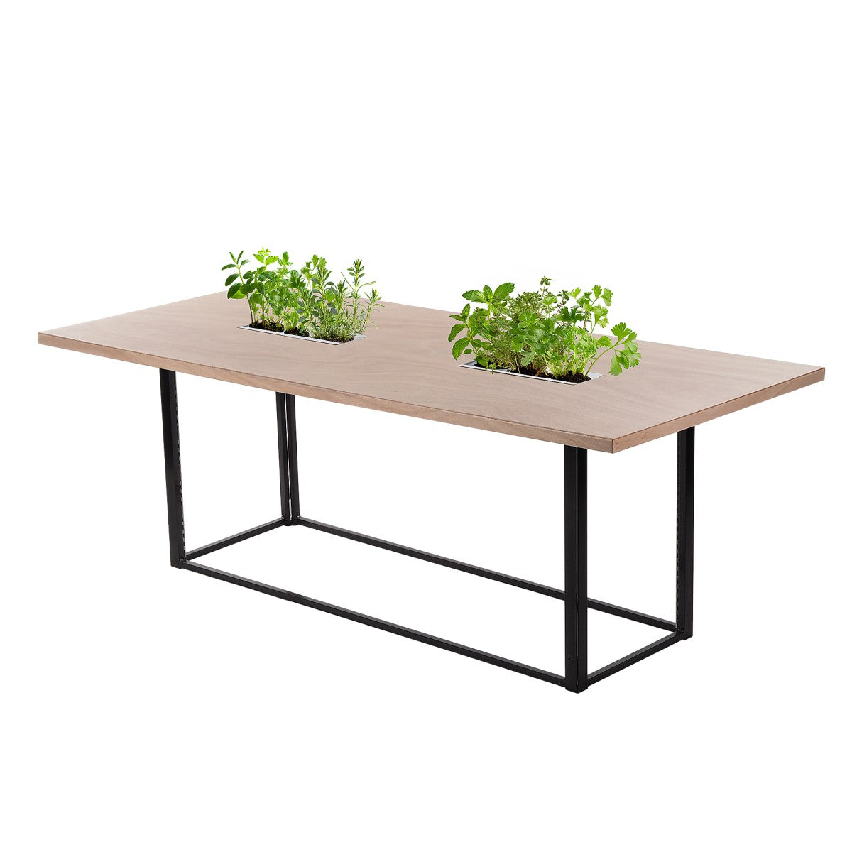 Table Mika végétale H73 200x90