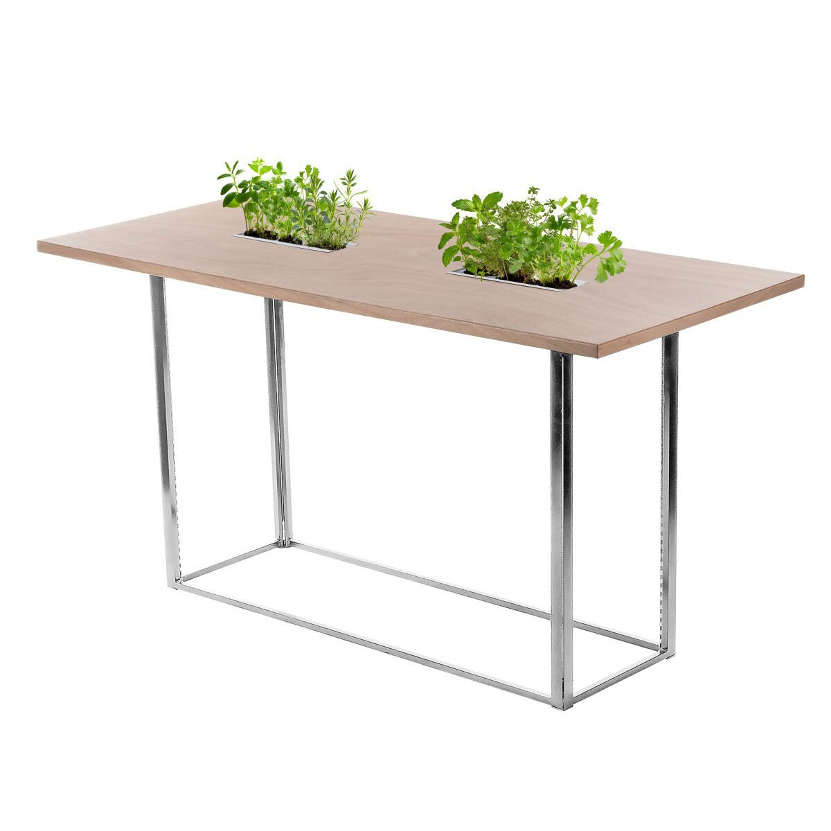 Table haute Mika Végétale H107 200x90