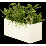 Composition plantes exotique