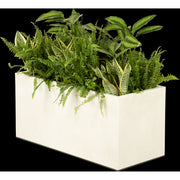 Composition plantes exotiques au m/l