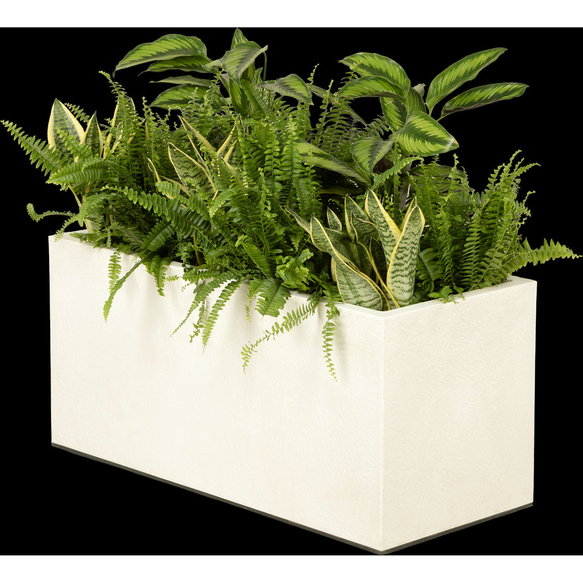 Composition plantes exotiques au m/l