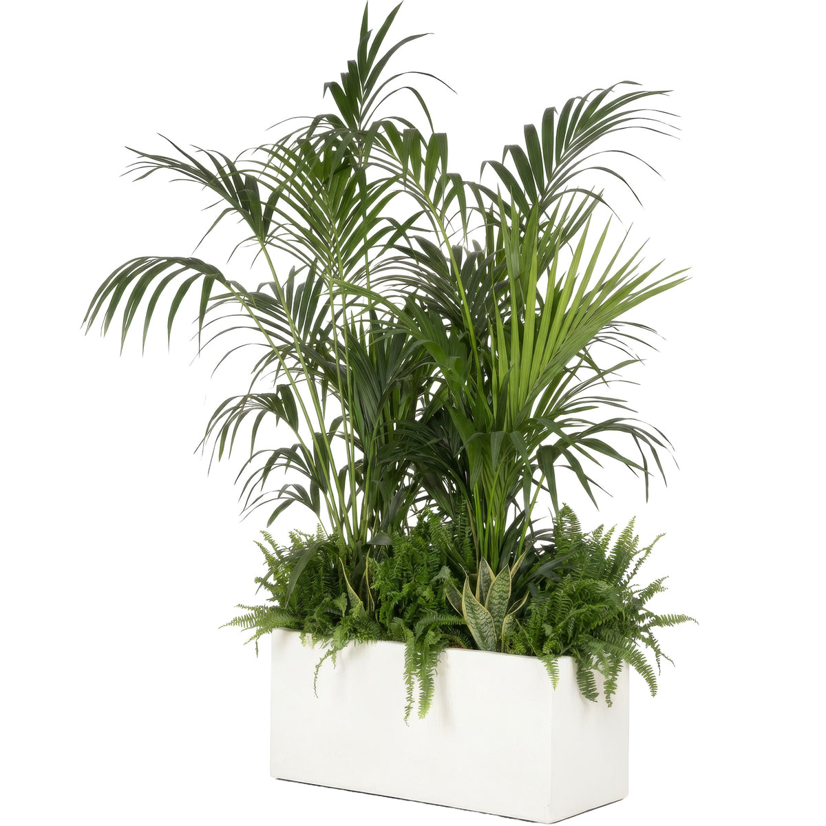 Composition plantes exotiques au m/l