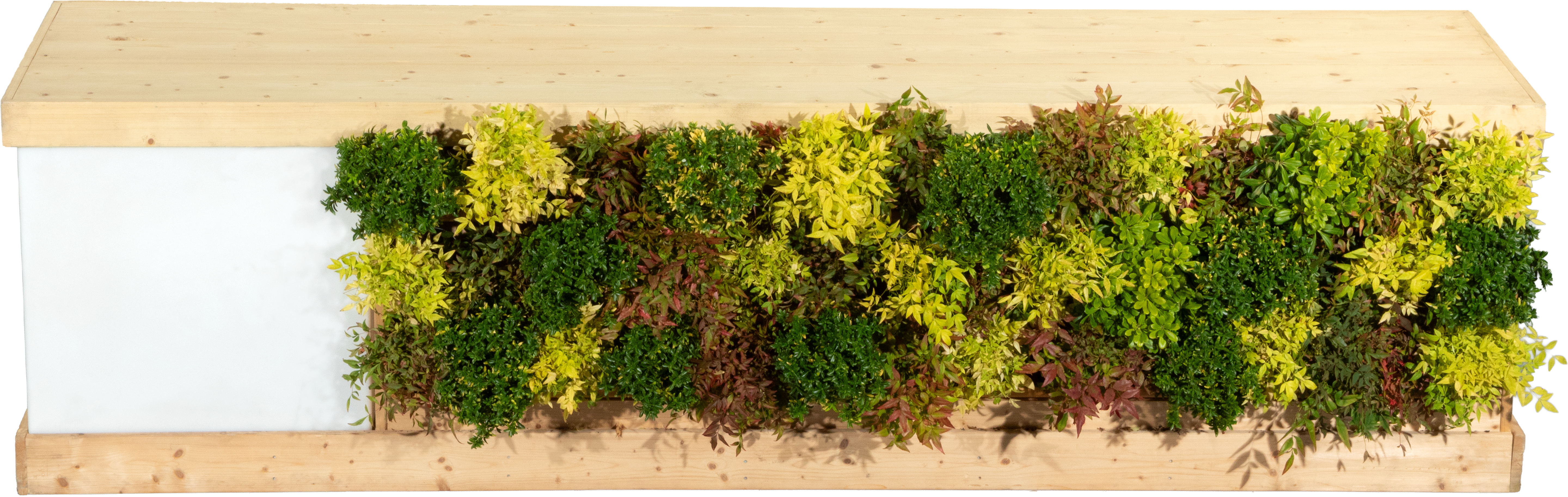 Buffet végétal - Grand Module