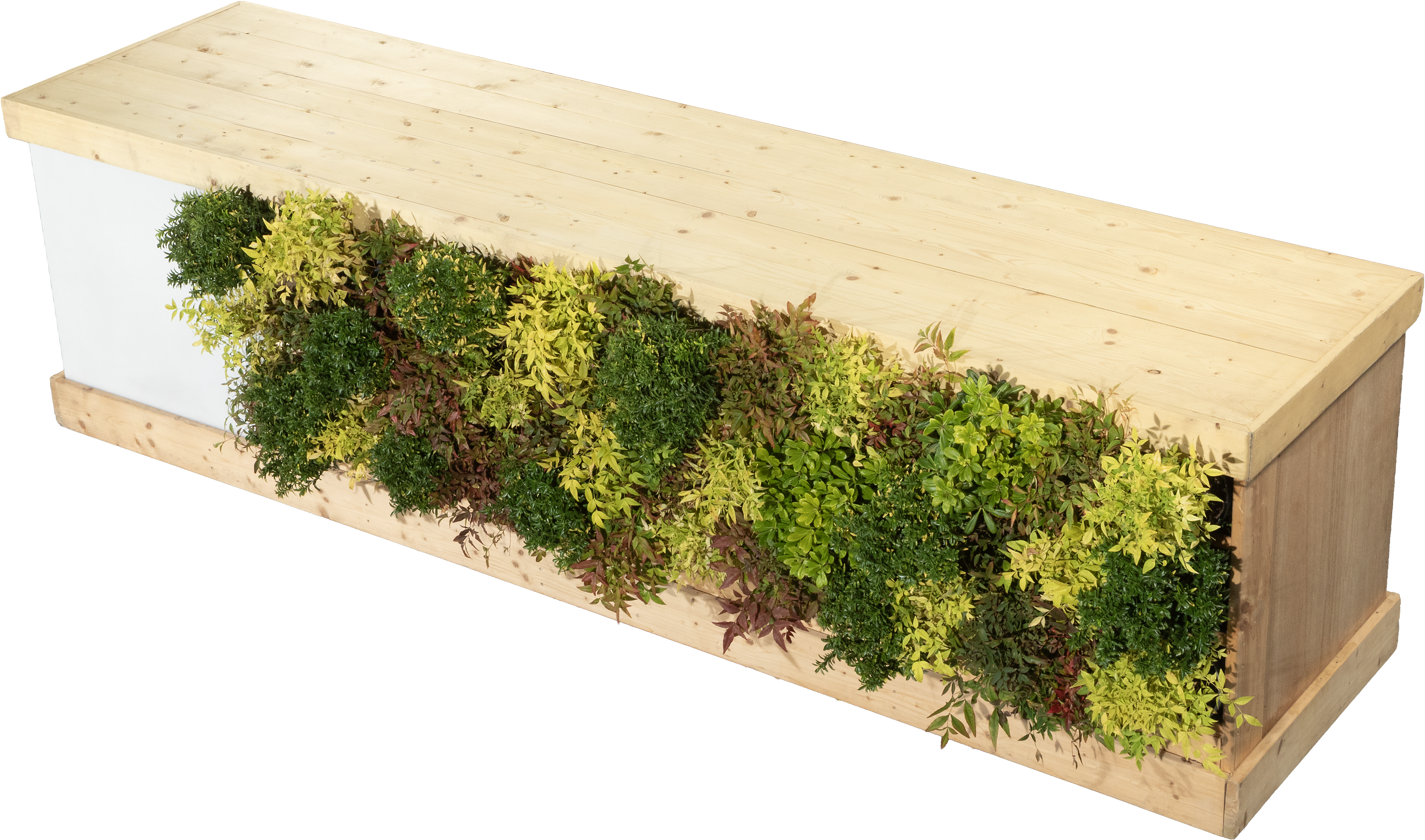 Buffet végétal - Grand Module