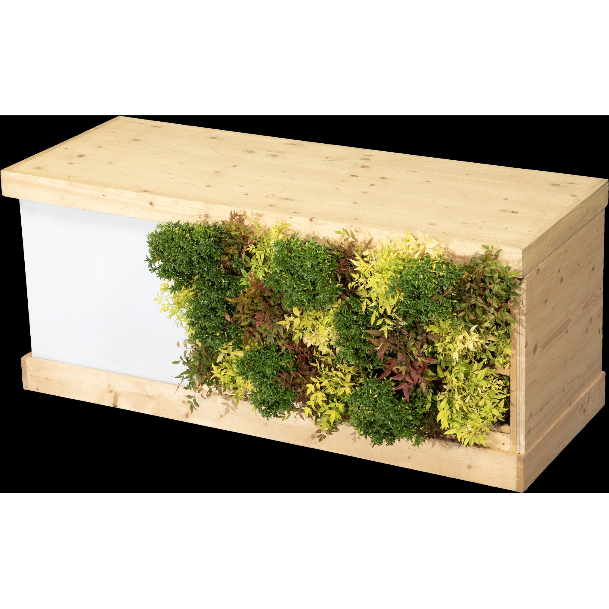 Buffet végétal - Petit Module