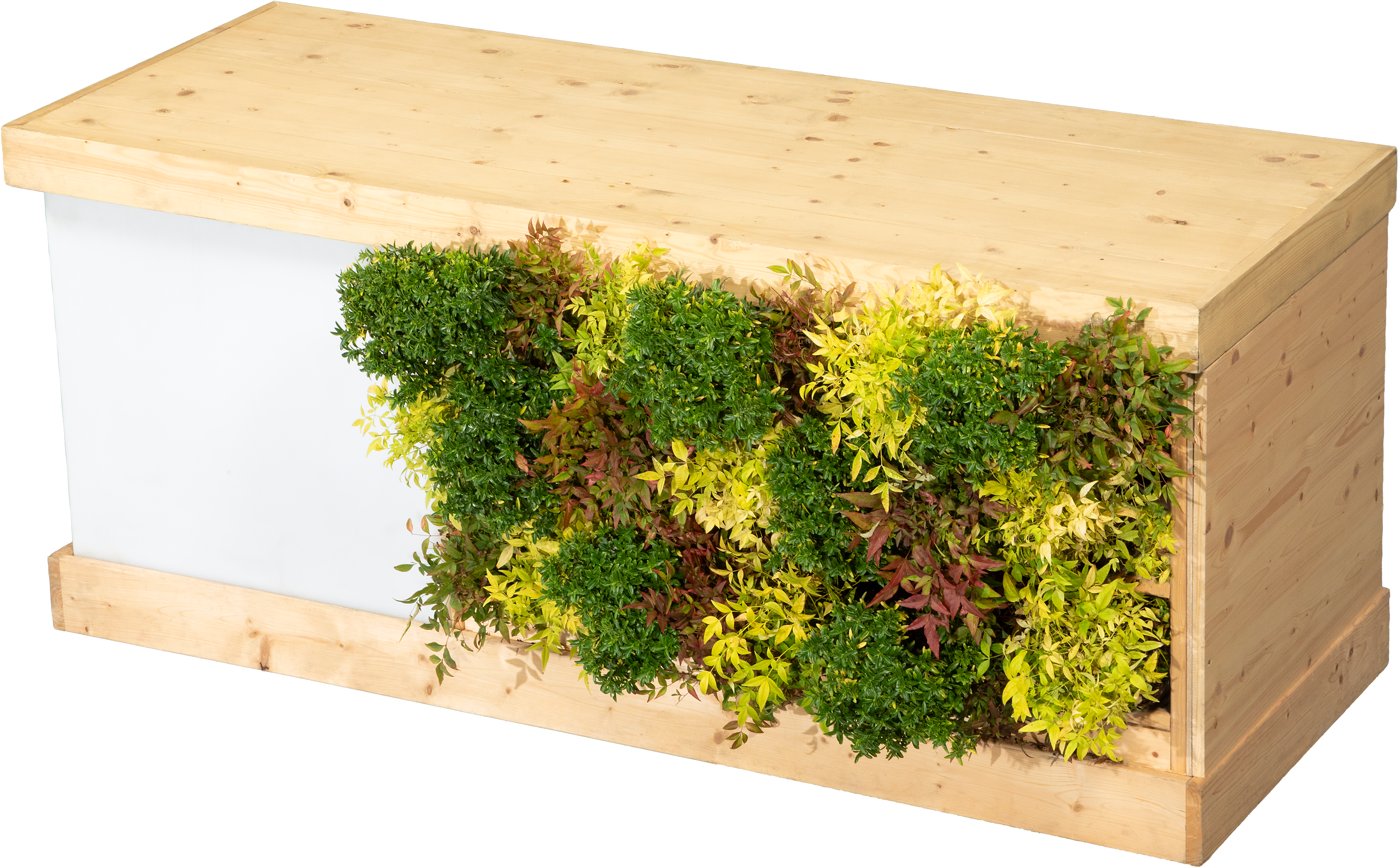 Buffet végétal - Petit Module