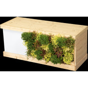 Buffet végétal - Petit Module