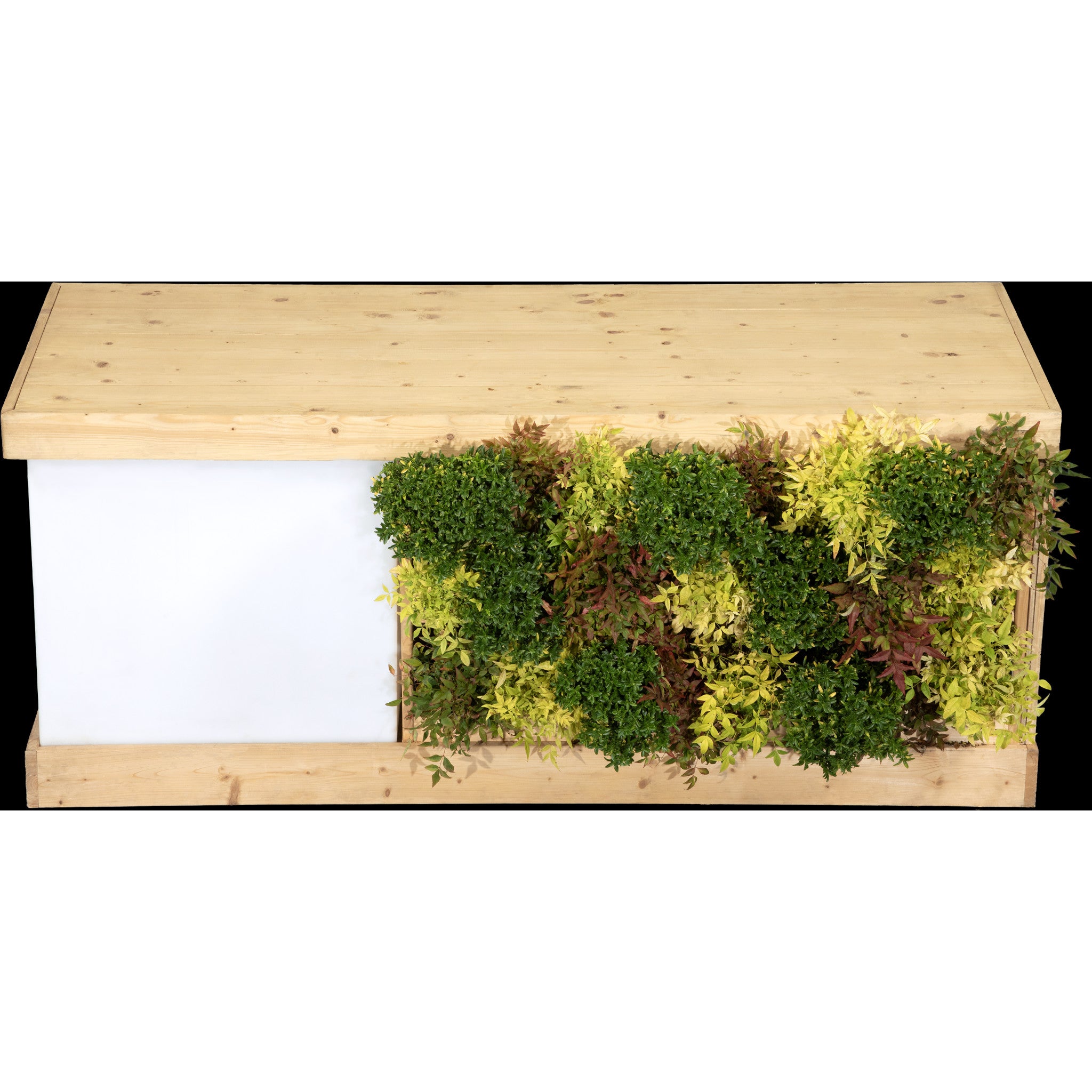 Buffet végétal - Petit Module