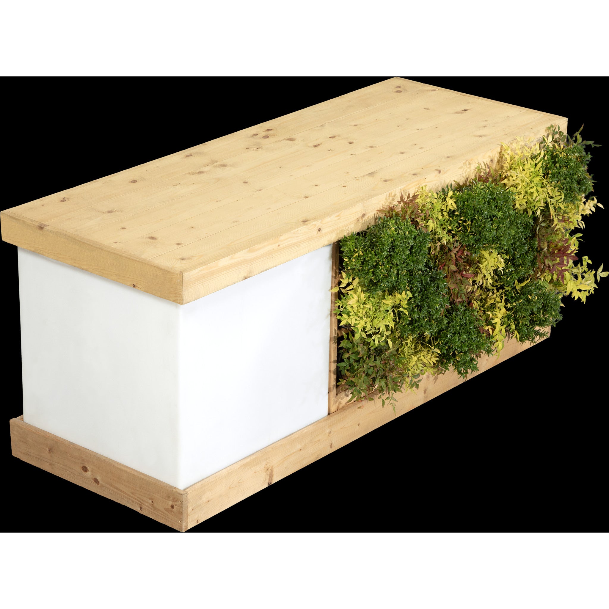 Buffet végétal - Petit Module