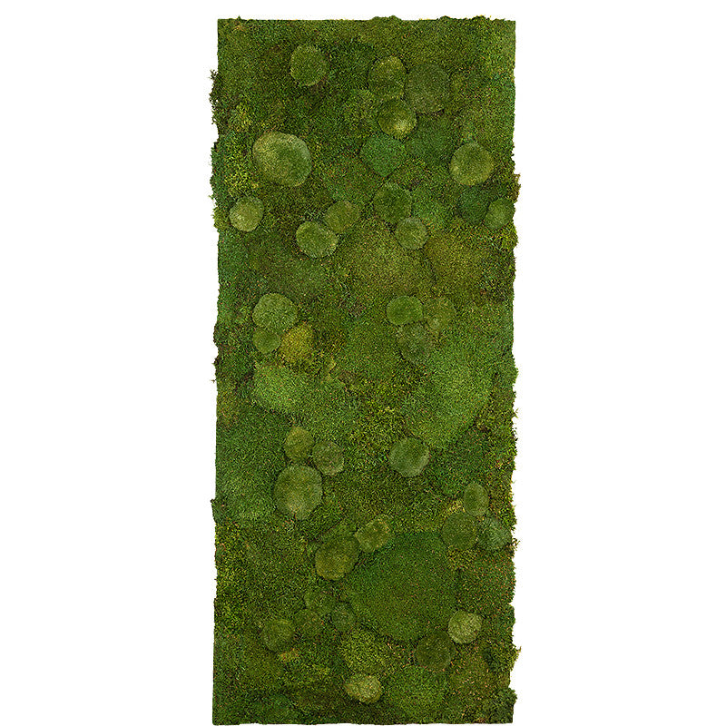 Tableau végétal en mousse stabilisée au m2
