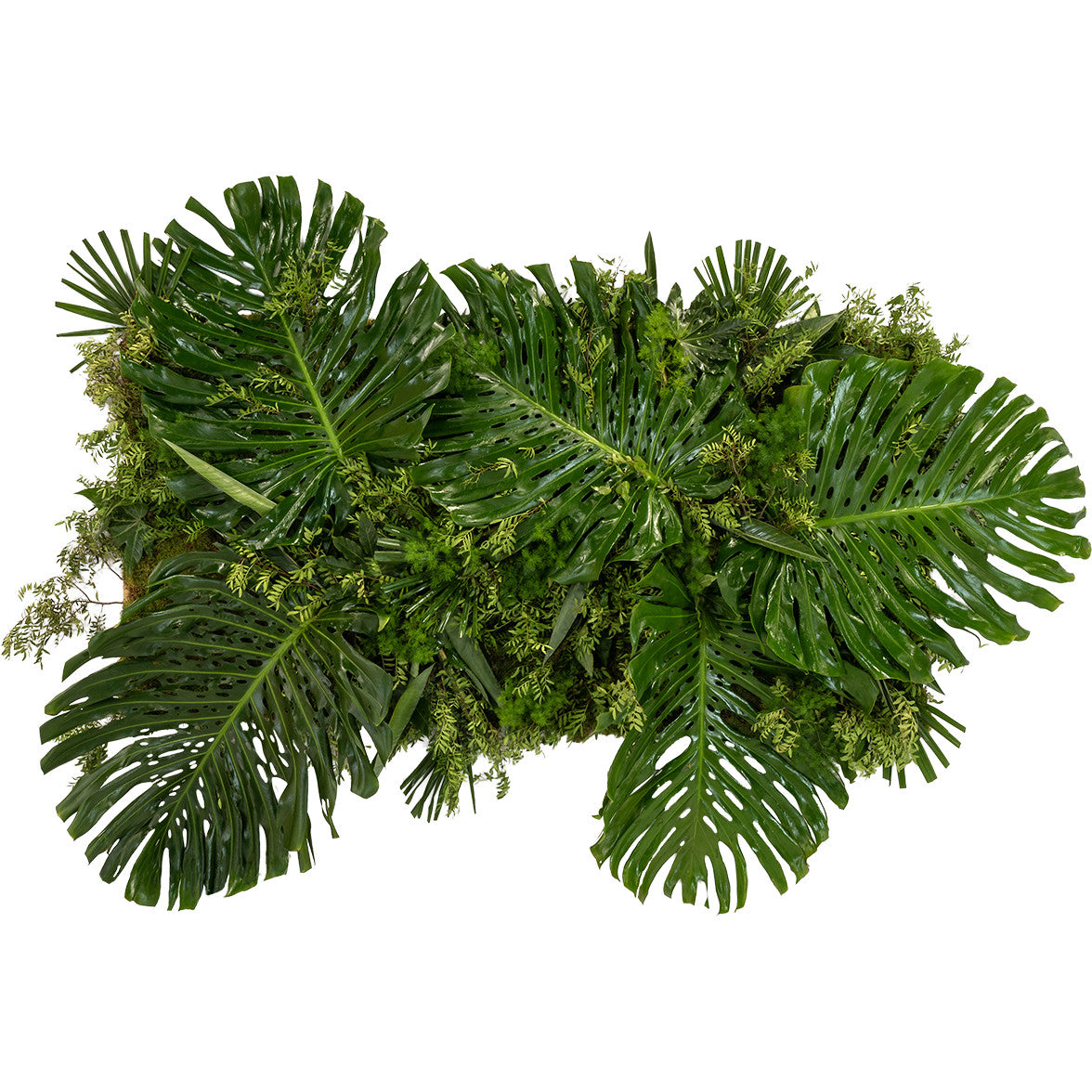Tableau végétal avec feuillage naturel au m2