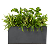 Composition plantes exotique Anthracite