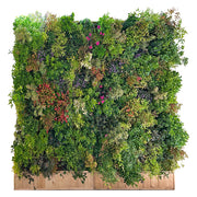 Mur végétal naturel autoporté 300x250cmHt
