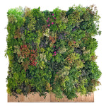 Mur végétal naturel autoporté 300x250cmHt