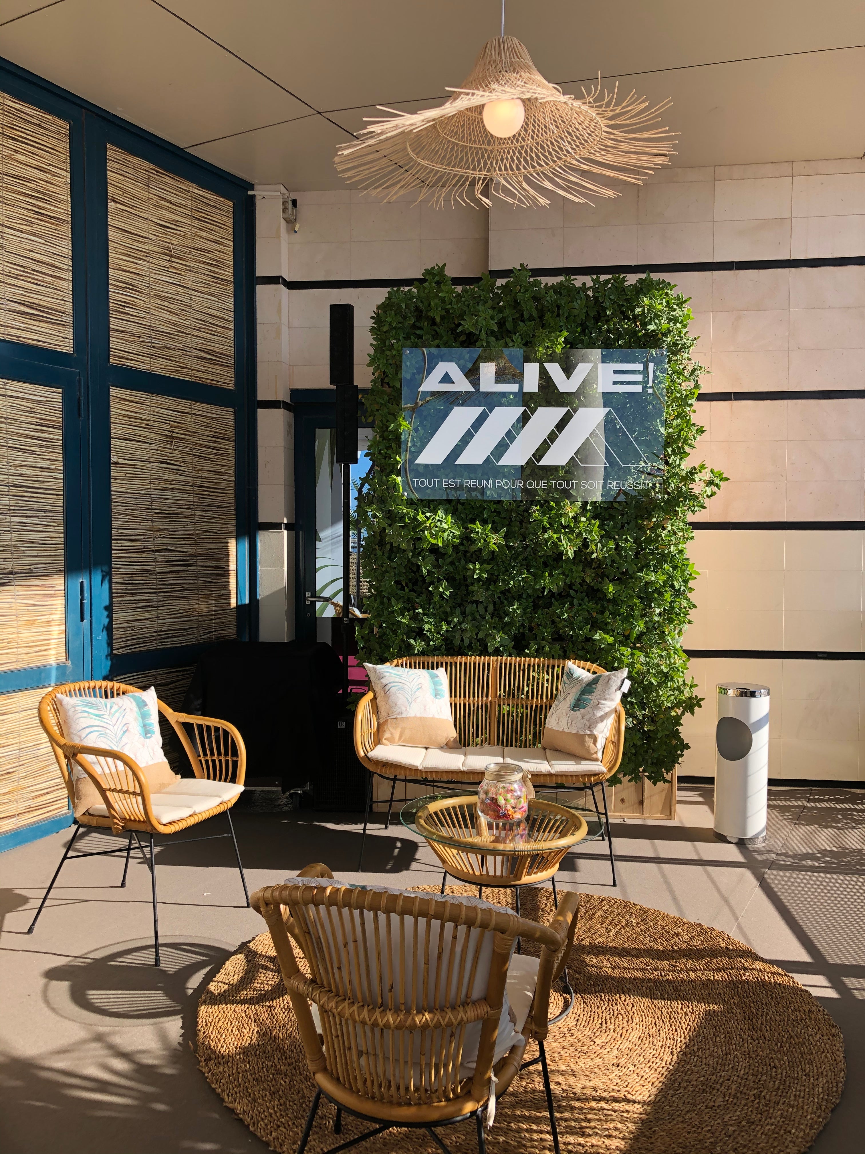 Mur végétal autoporté 2500 Ht x 1500 x 420 mm avec plantes naturelles
