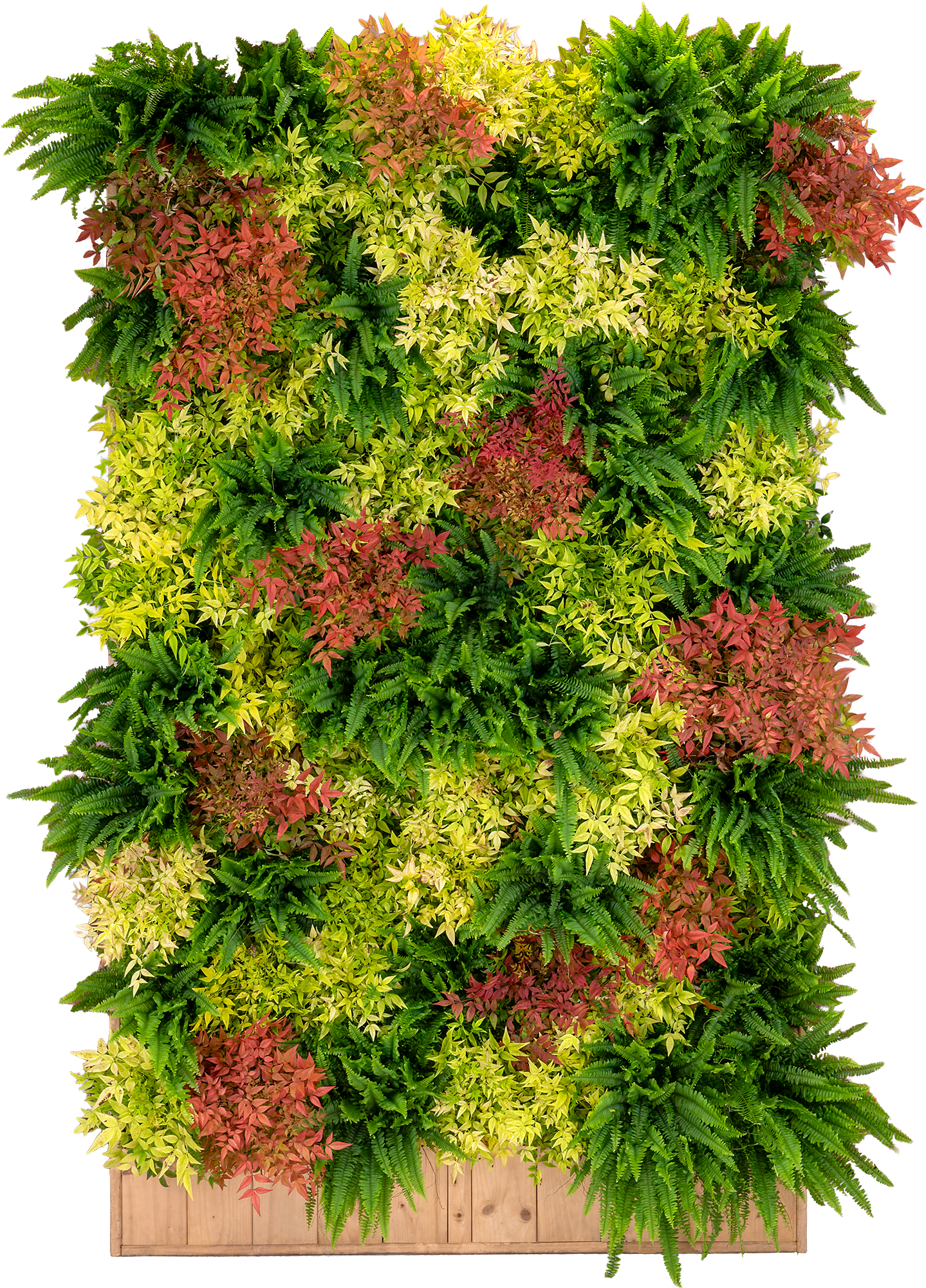 Mur végétal autoporté 2500 Ht x 1500 x 420 mm avec plantes naturelles