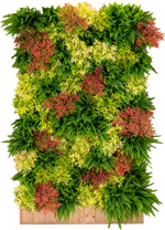 Mur végétal autoporté 2500 Ht x 1500 x 420 mm avec plantes naturelles