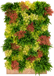 Mur végétal autoporté 2500 Ht x 1500 x 420 mm avec plantes naturelles