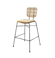 Cushion for Rattan by K chair