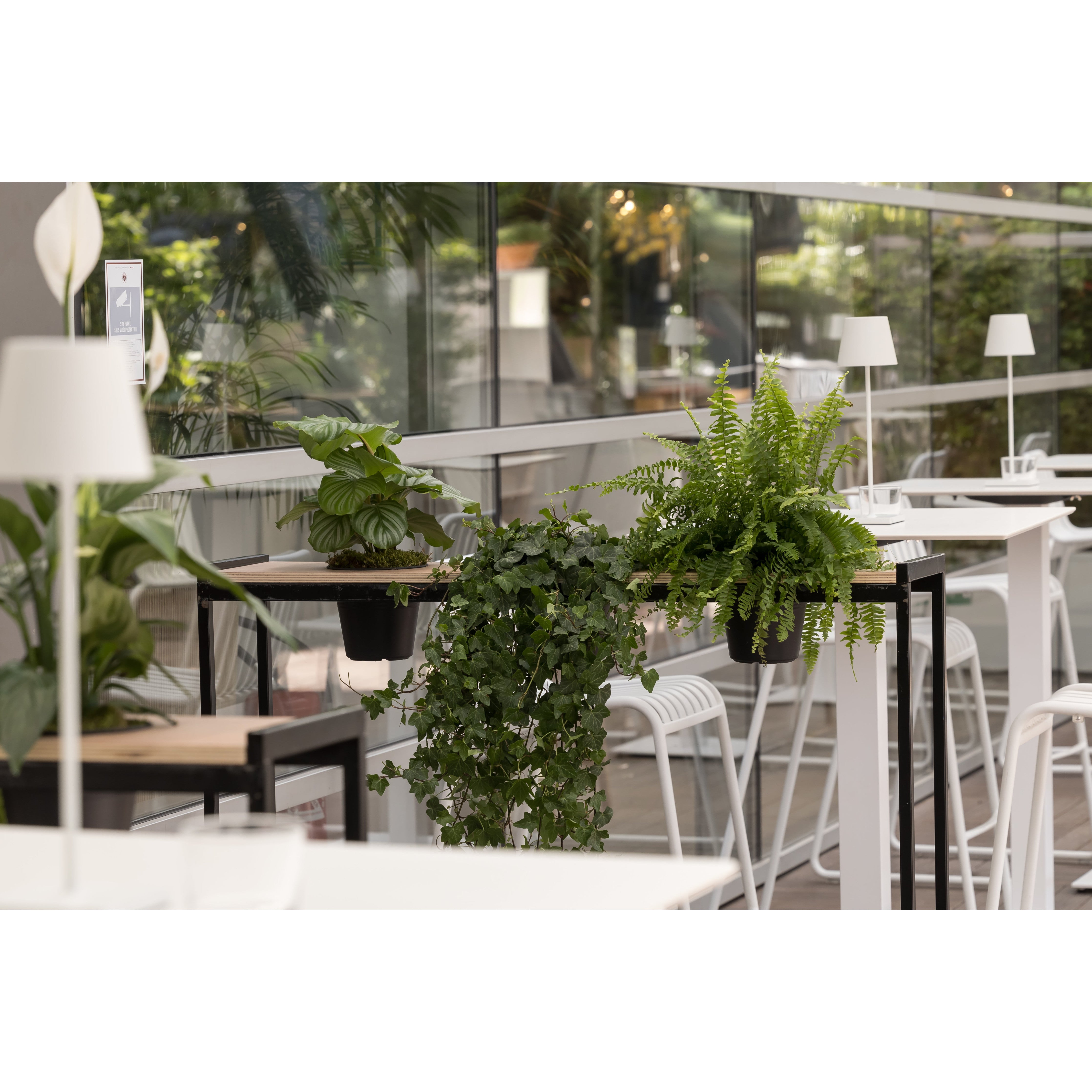 Cloison Smart végétale H 110 cm