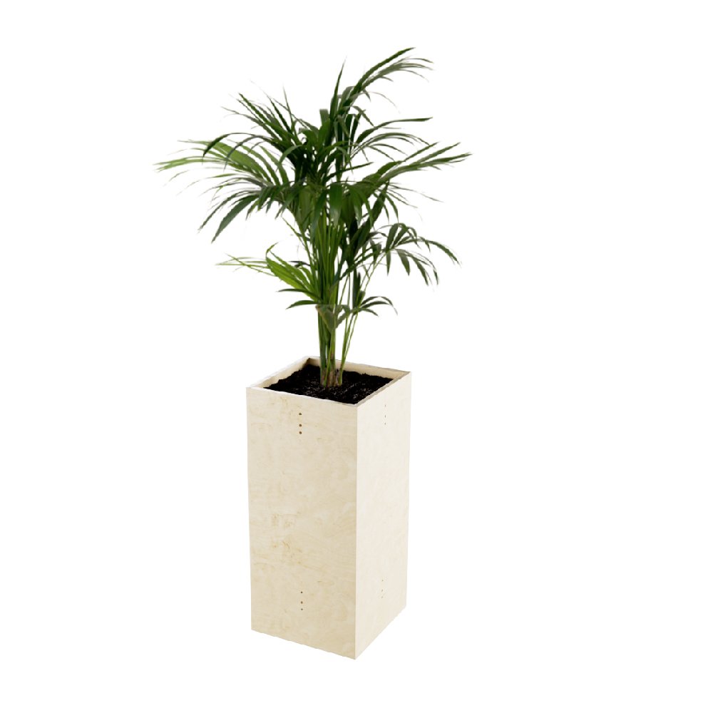 BFFI MAINTPOT01 pot bois 44x44x90 b fix avec plante 1