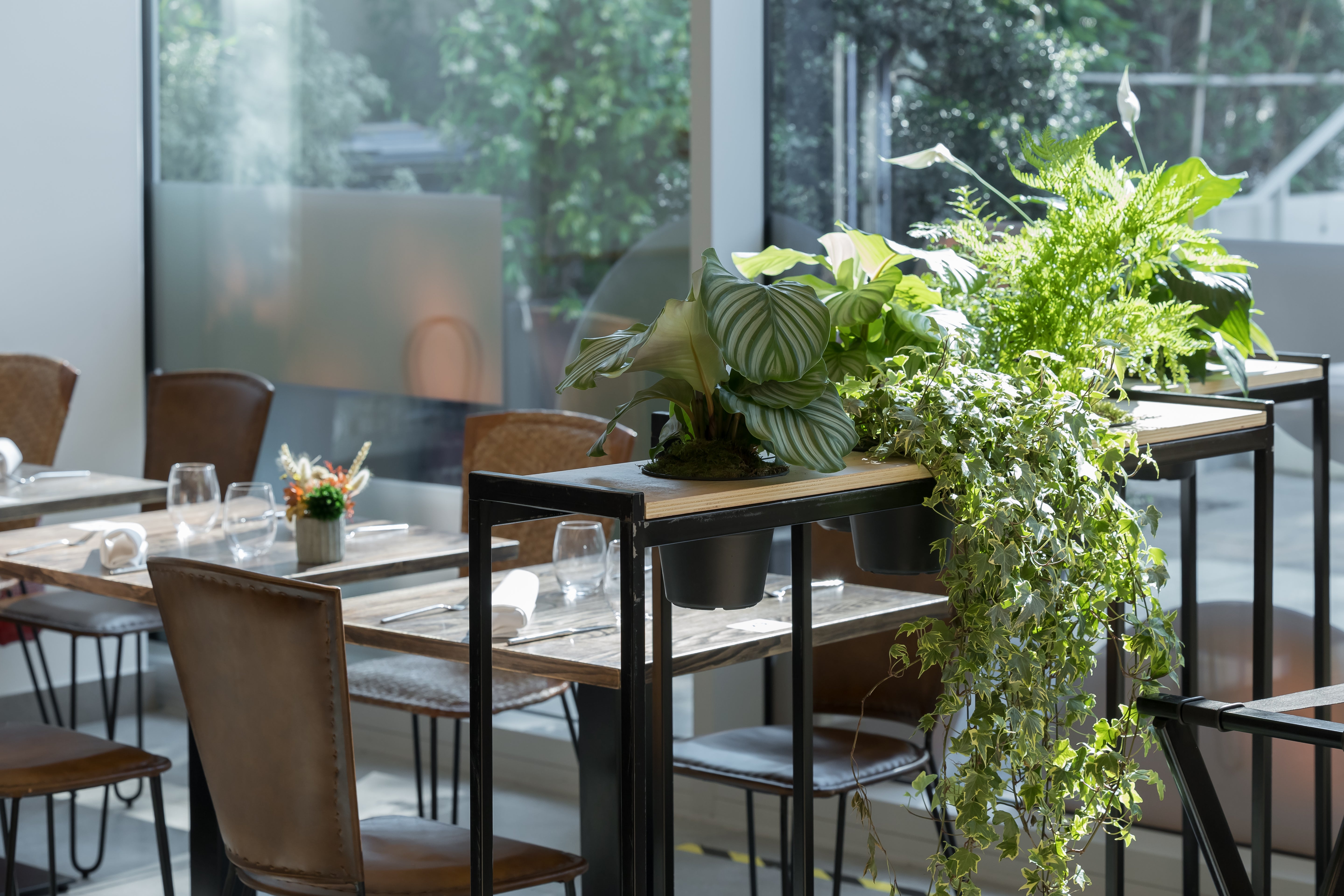 Cloison Smart végétale H 110 cm