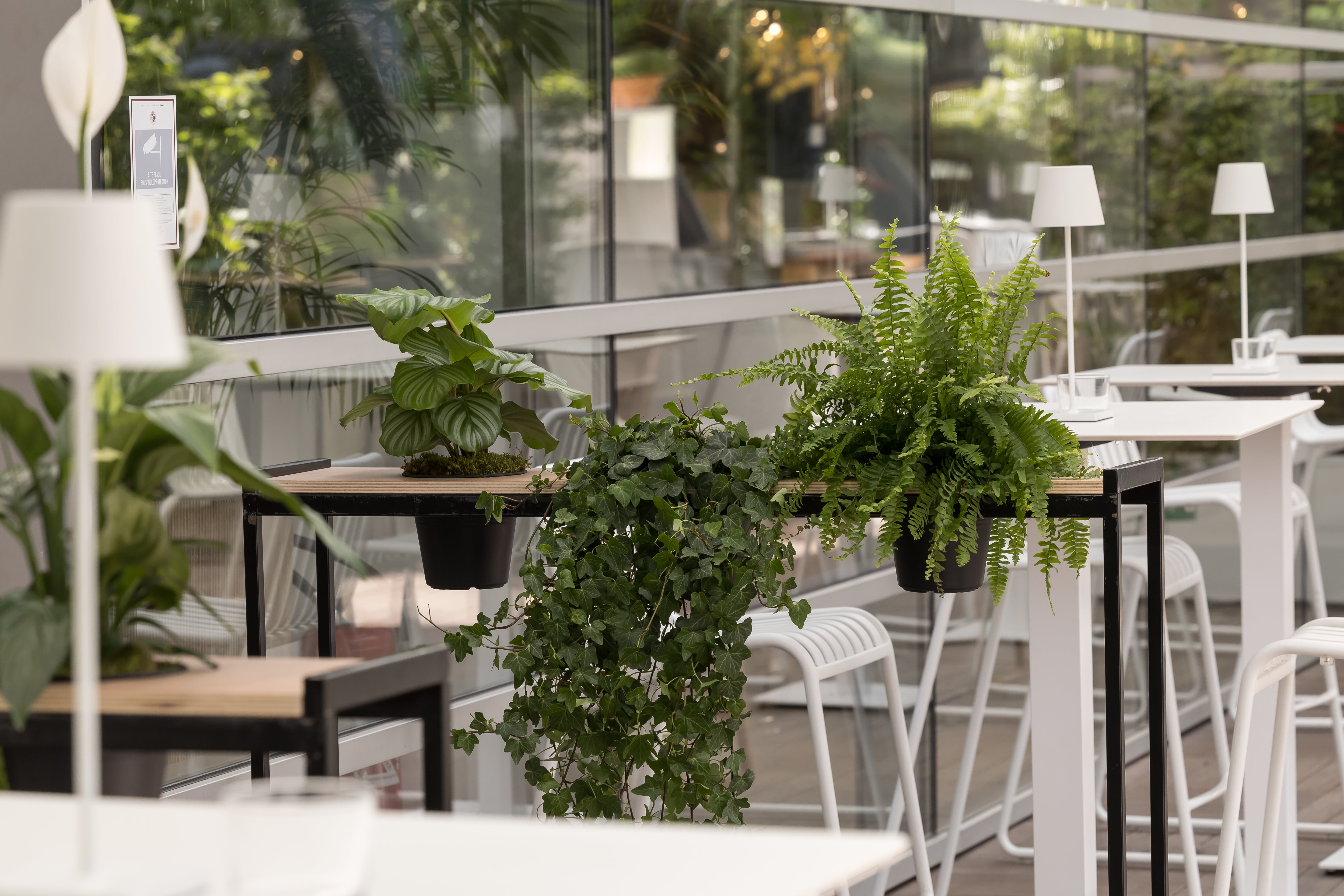 Cloison Smart végétale H 110 cm