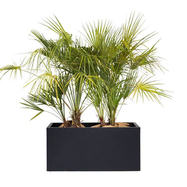 VEPPOC01R80 Jardiniere Gris Anth. 90x40x40 Ht Humilis 80100
