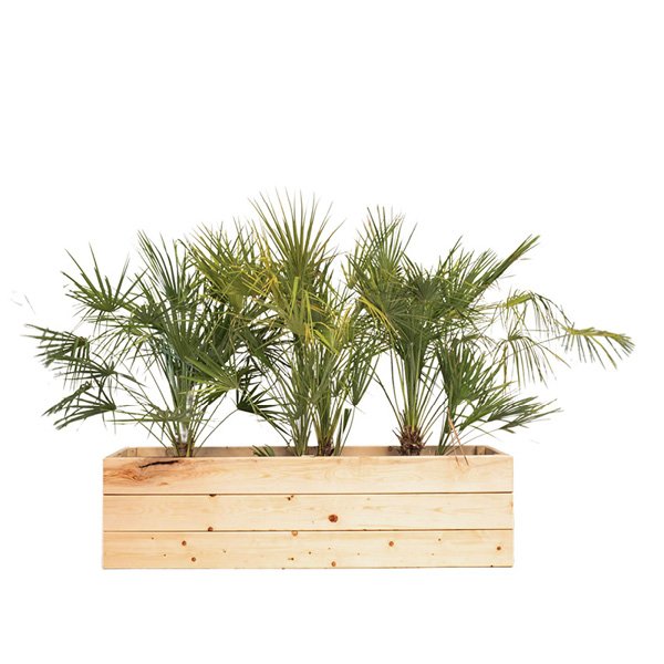 VEPPOJARDIBAS Jardiniere Eco Bois 150x40x40Ht Humilis 80100