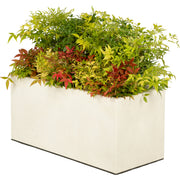 Composition plantes champêtre jardinière