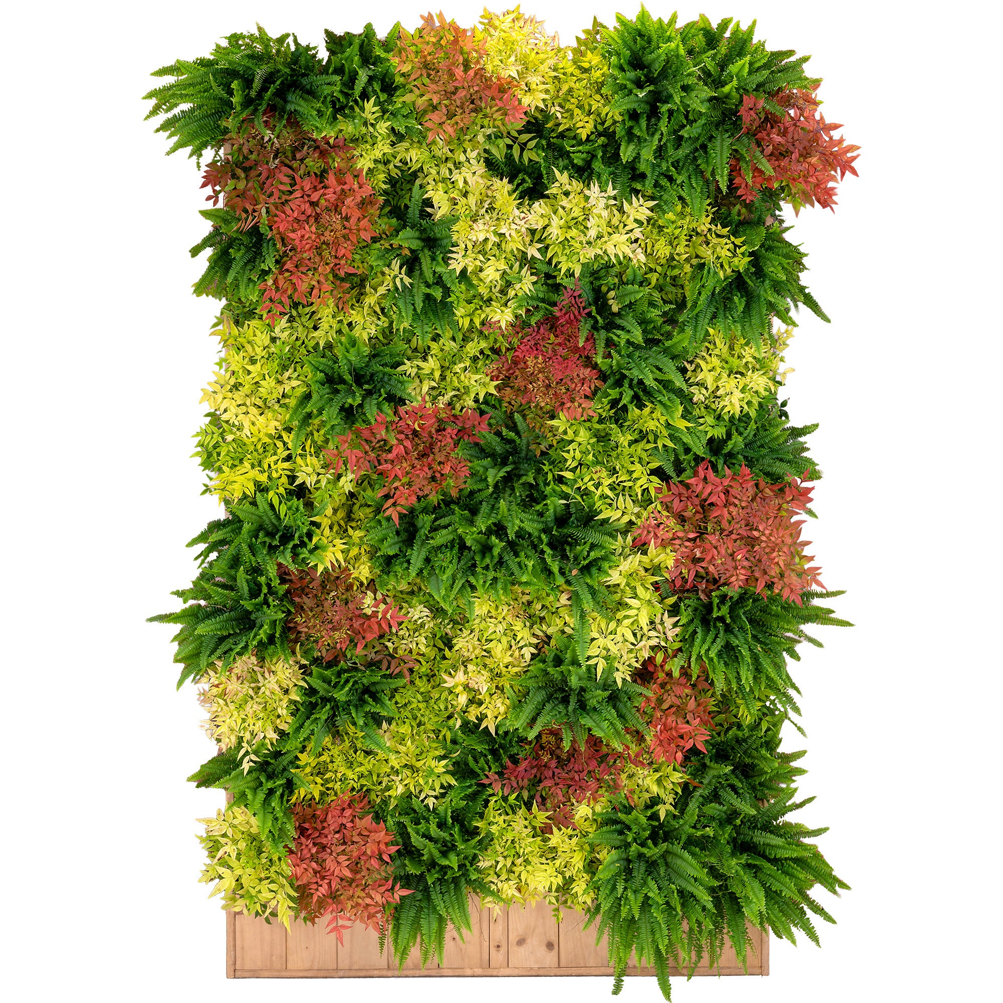 Mur végétal naturel autoporté 300x250cmHt