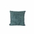 Coussin Buzz - bleu canard