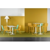 Chaise Moli - moutarde