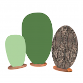 Paravent 3 pétales - vert écorce